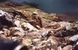20011020 123000 snowdon pyg trk waterfall ovr llyn glaslyn
