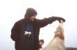 20011020 130950 top snowdon dom feed sheep apple phil look