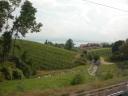 20020903 154038 switzerland fields lake geneva from train