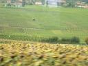 20020903 154138 switzerland fields from train