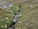 20020904 122453 stream near riffelberg