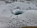 20020904 132742 gorner glacier stream