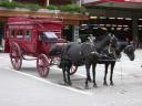 20020904 171427 horses and carriage zermatt centre