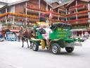 20020906 103749 horse drawn carriage