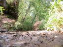 20020921 143845 stottesdon riverbed