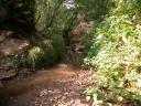 20020921 143939 stottesdon river