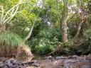20020921 144057 stottesdon riverbed