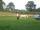 20020921 155500 stottesdon graeme horse whisperer
