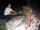 20020921 190000 stottesdon allan braai