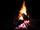 20020921 191530 stottesdon braai flames