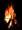 20020921 191615 stottesdon braai flames