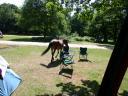 20030620 150726 horse walking through campsite