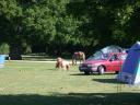 20030620 165956 pony foal and horse