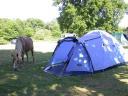 20030620 170415 horse and allans tent