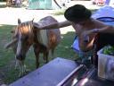 20030620 171116 allan stroking horse
