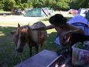 20030620 171127 allan stroking horse