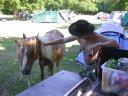 20030620 171133 al stroking horse