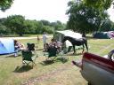20030621 113604 horses strolling through camp