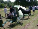 20030621 113629 horse strolling through camp