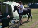 20030621 113640 graeme stroking horse