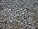20040321 153220 lyme regis beach pebbles detritus