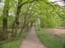 20050424_153547_moat_mount_open_space_path.jpg