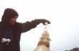 20011020_131000_top_snowdon_dom_feeding_sheep_apple.jpg