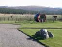 20030319_121023_speyside_cooperage_highland_cows.jpg
