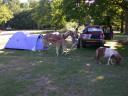 20030620_170808_horse_foal_pony_allan_animal.jpg