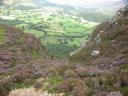 20050827_133758_loweswater_fell_from_melbreak.jpg