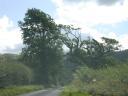 20050829_114318_cumbria_trees_overhanging_road.jpg