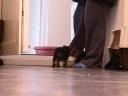 20081117_095311_chloe_tess_kitchen.jpg