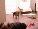 20090112_150637_chloe_tess_jersey_jacket.jpg