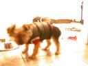 20090112_150655_chloe_jersey_jacket.jpg