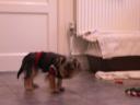 20090112_150735_tess_jersey_jacket.jpg