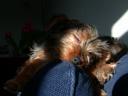 20090118_143212_tess_sofa_closeup.jpg