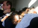 20090118_143945_chris_chloe_tess_sofa_closeup.jpg