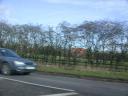 20040218_114958_road_to_birmingham_house_through_hedge.jpg