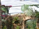 20020424_140448_soa_butterfly_farm_iguanas_o.jpg