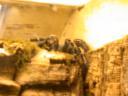 20020424_141006_soa_butterfly_farm_tarantula_o.jpg