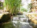 20020424_142611_soa_butterfly_farm_waterfall_o.jpg