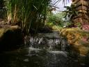 20020424_142648_soa_butterfly_farm_waterfall_o.jpg