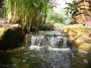 20020424_142721_soa_butterfly_farm_waterfall_o.jpg