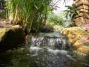 20020424_142740_soa_butterfly_farm_waterfall_o.jpg