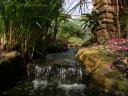 20020424_142803_soa_butterfly_farm_waterfall_o.jpg