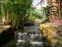 20020424_142813_soa_butterfly_farm_waterfall_o.jpg