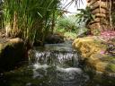 20020424_142819_soa_butterfly_farm_waterfall_o.jpg