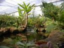 20020424_143057_soa_butterfly_farm_other_waterfall_o.jpg