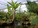 20020424_143116_soa_butterfly_farm_other_waterfall_o.jpg