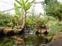 20020424_143236_soa_butterfly_farm_other_waterfall_o.jpg